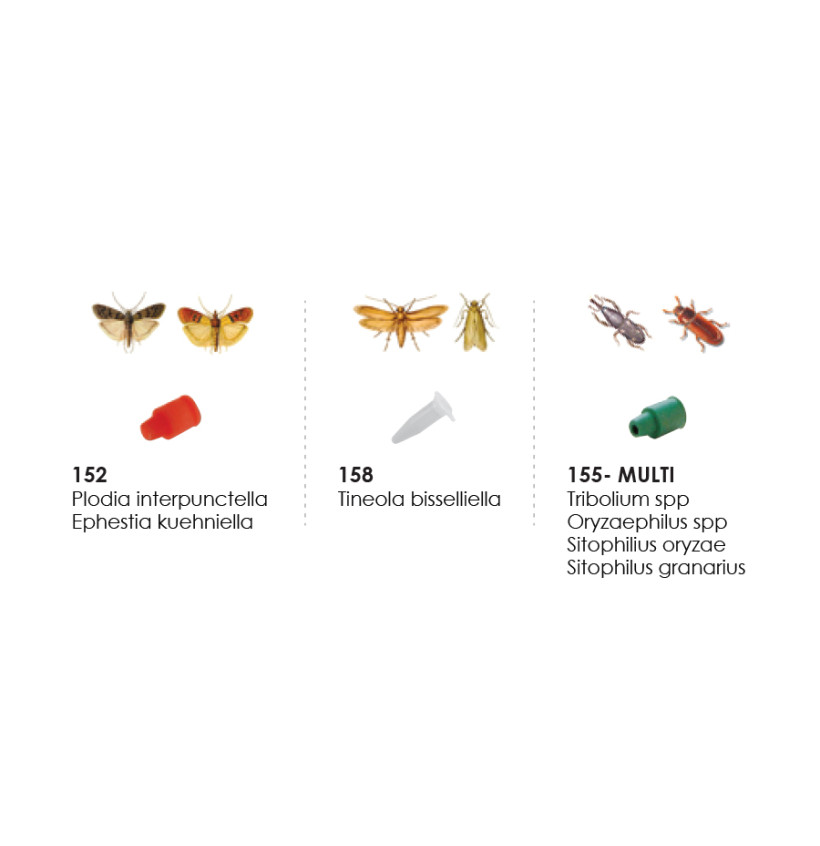 PHEROMONES LEPI FUNEL